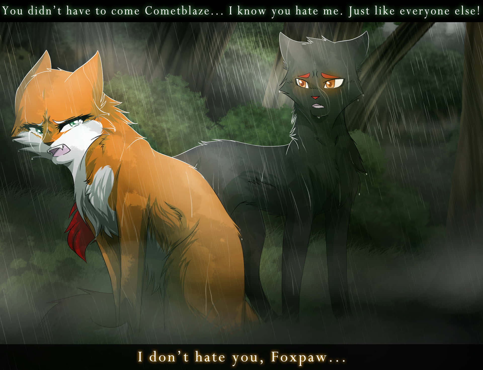 Two Foxes In The Rain With The Words I Don't Have You For Me Background