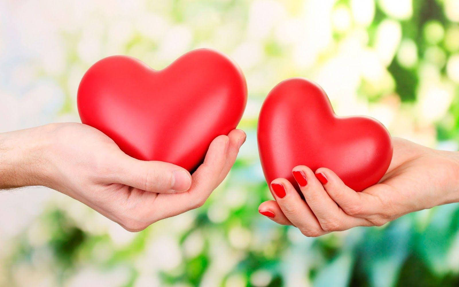 Two Hands Heart Love Full Hd Background