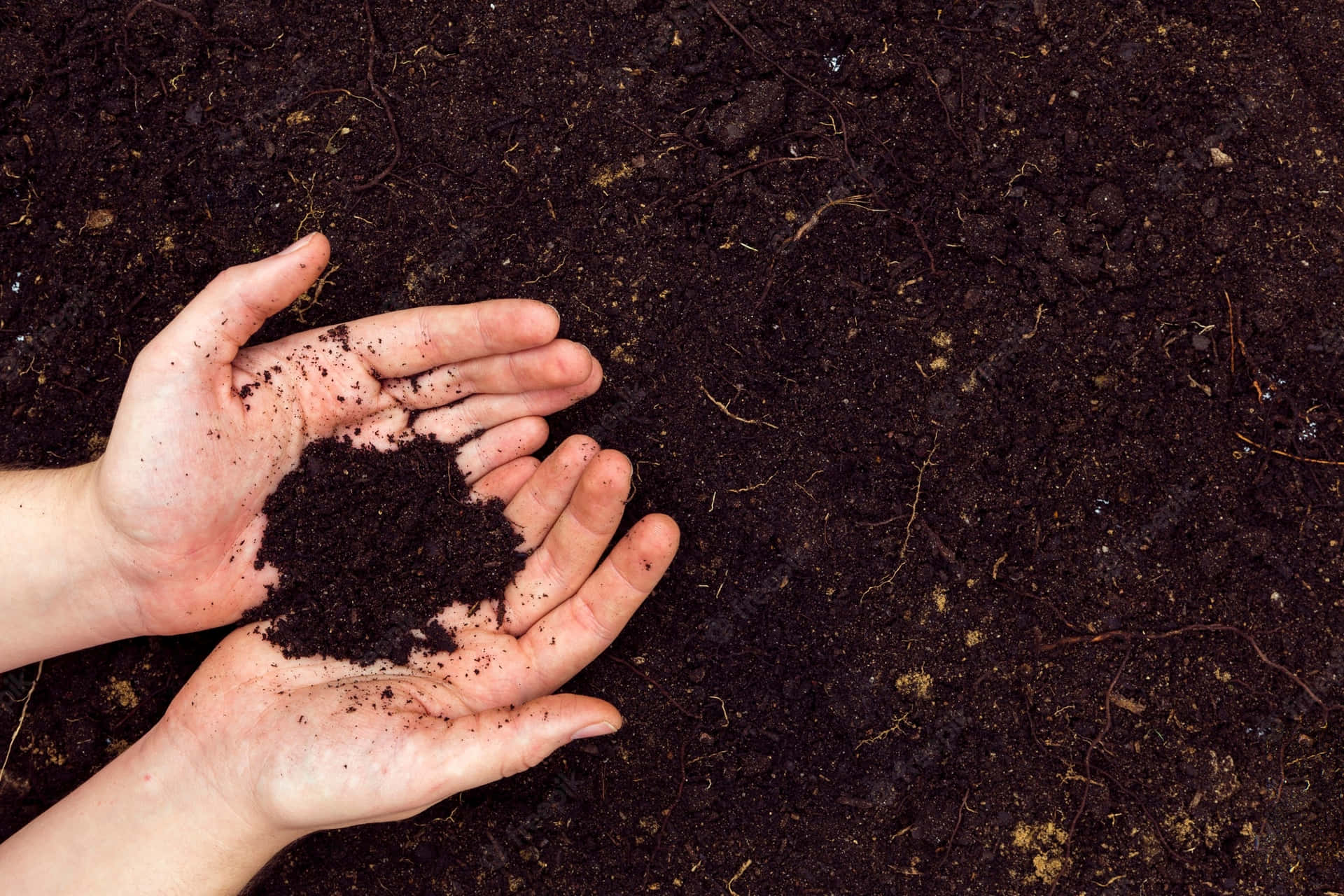 Two Hands Holding A Soil Background