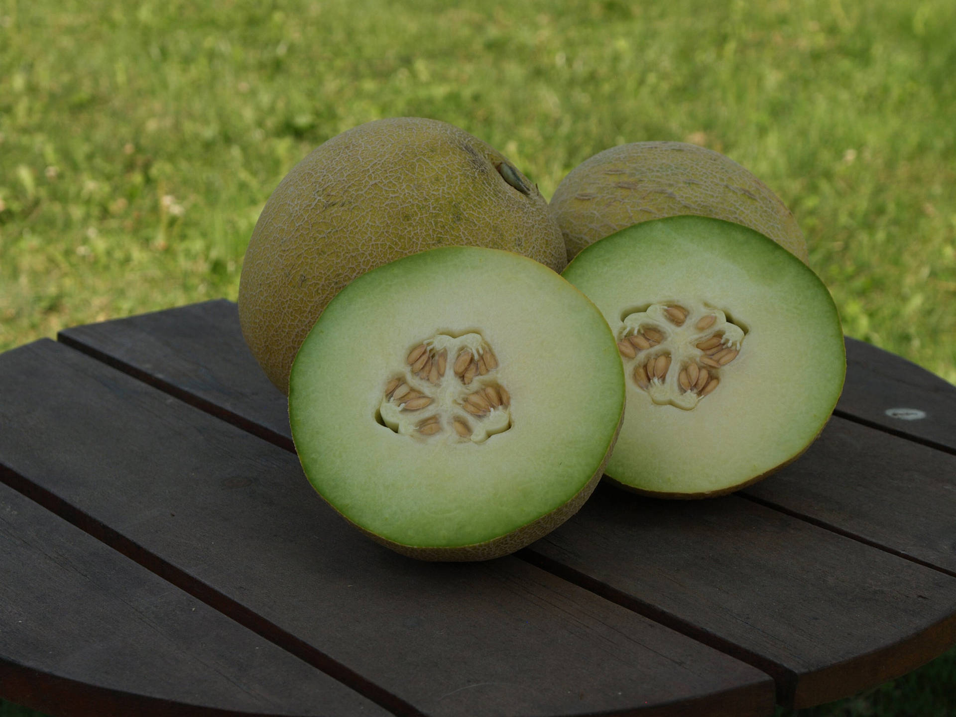 Two Honeydew Melon