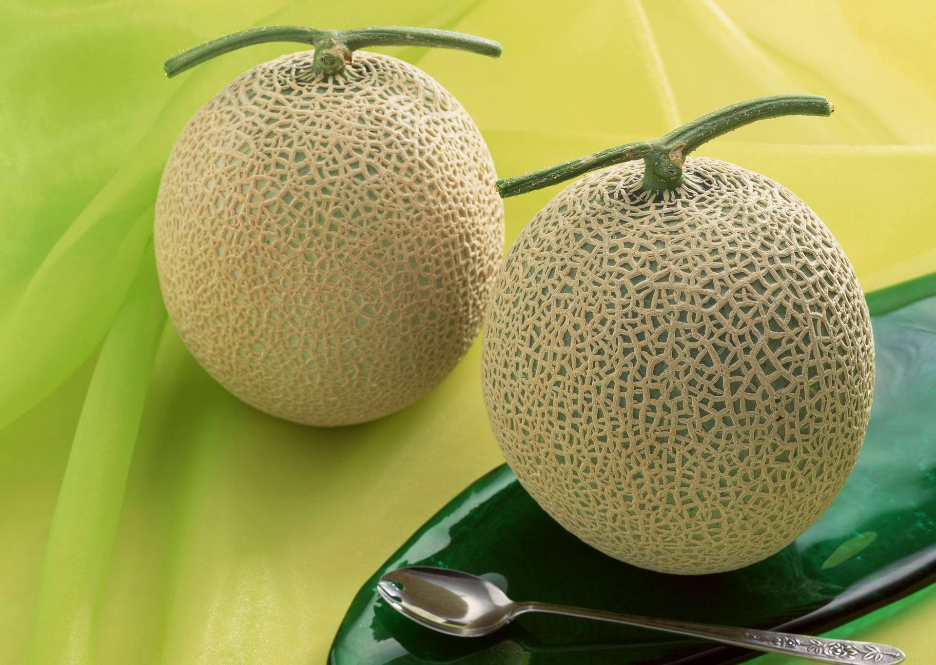 Two Honeydew Melons Green Surface Background