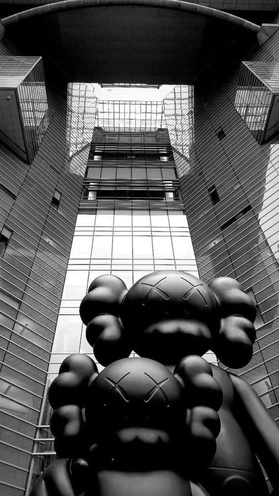 Two Kaws Black And White