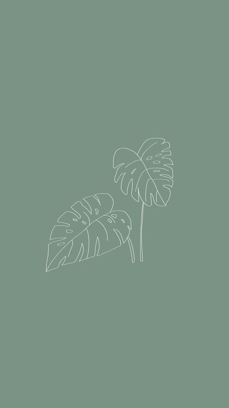 Two Large Cute Sage Green Leaves Background