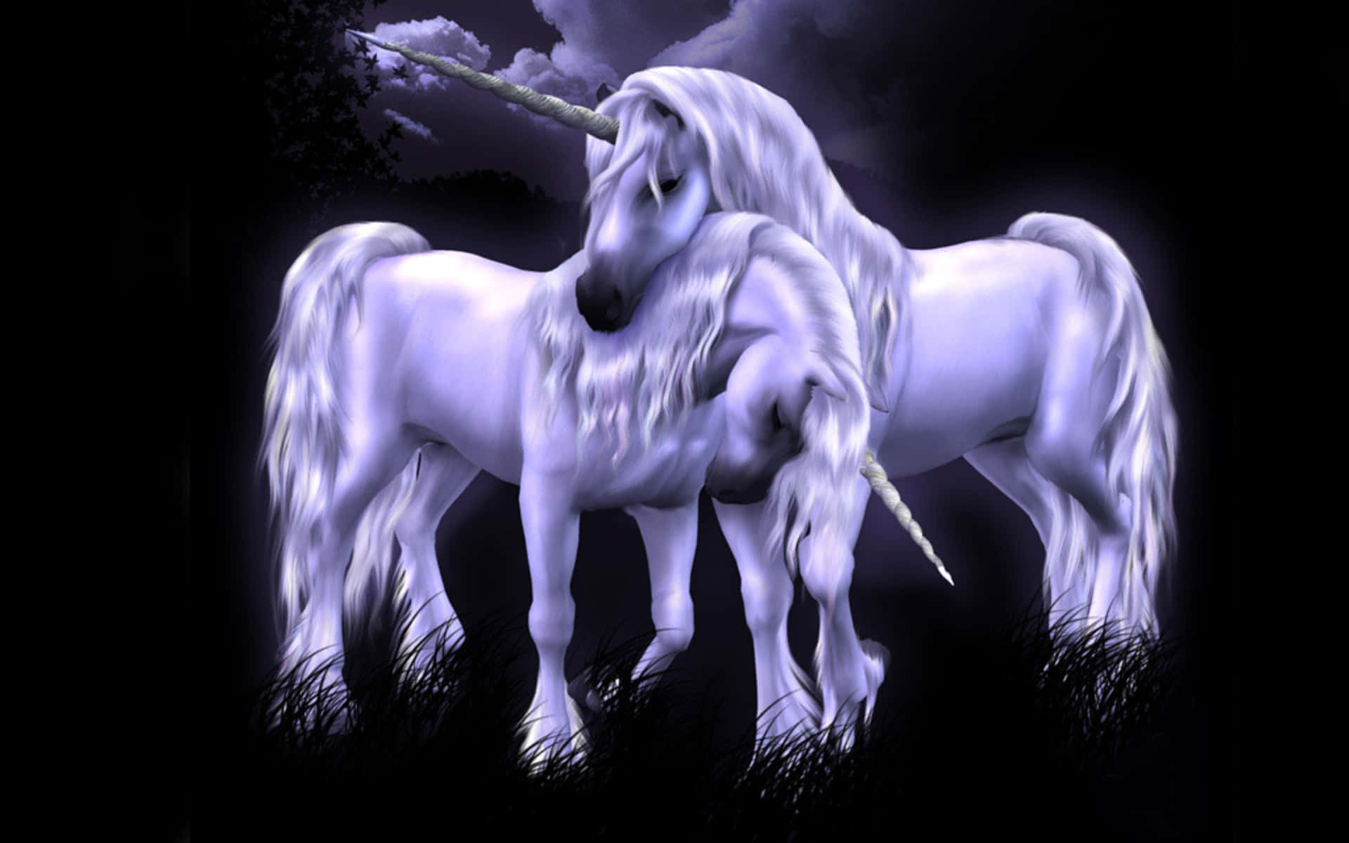 Two Magical Unicorn Background