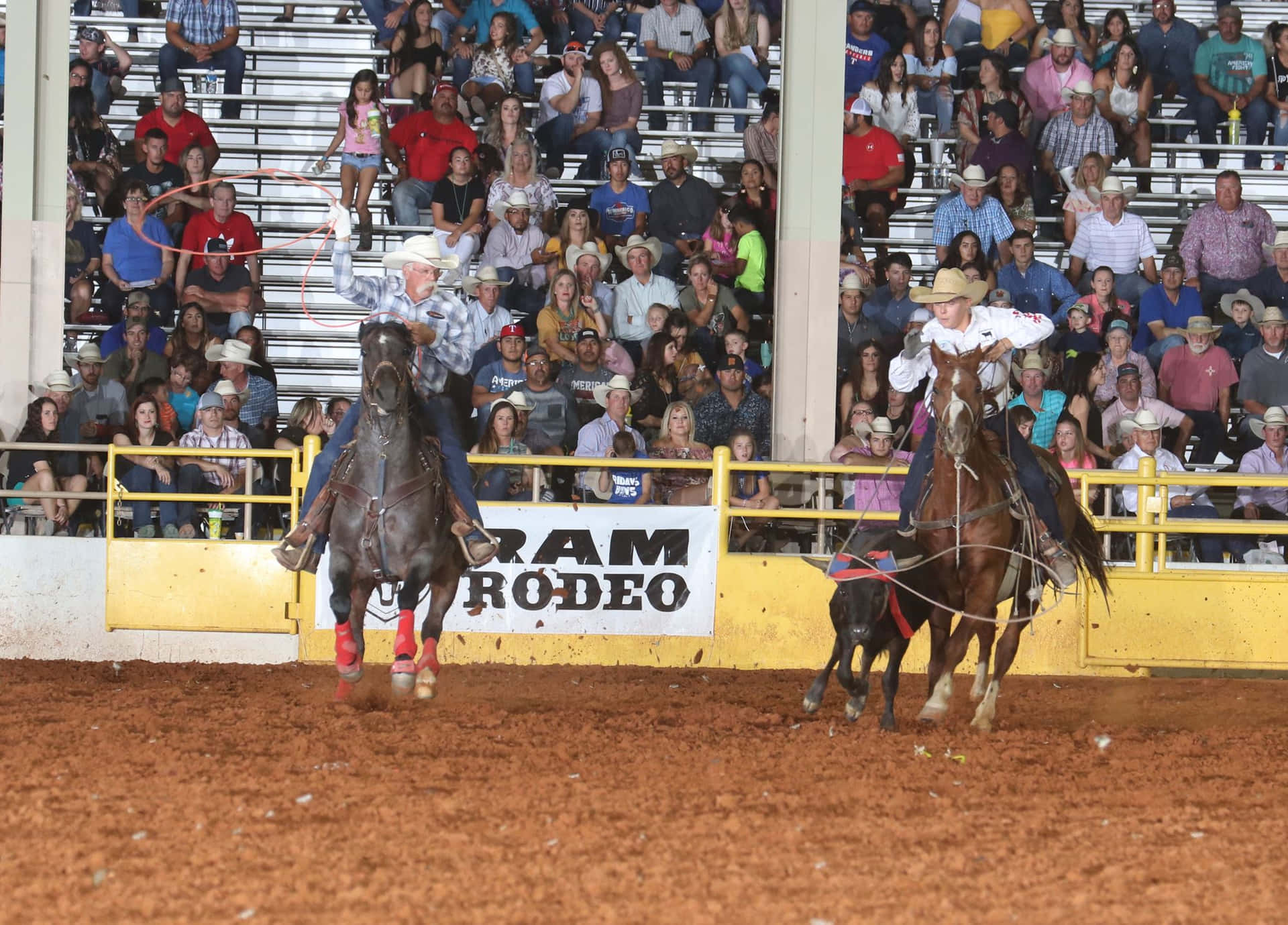 Two Men With Horses Team Roping