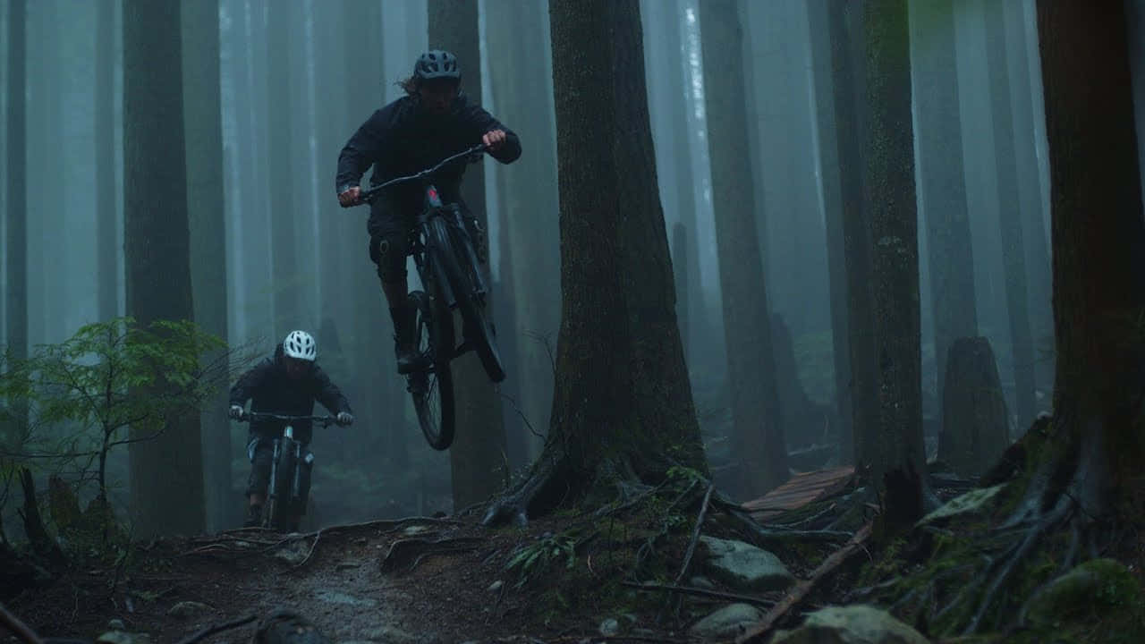 Two Mountain Bikers Riding Through A Forest Background