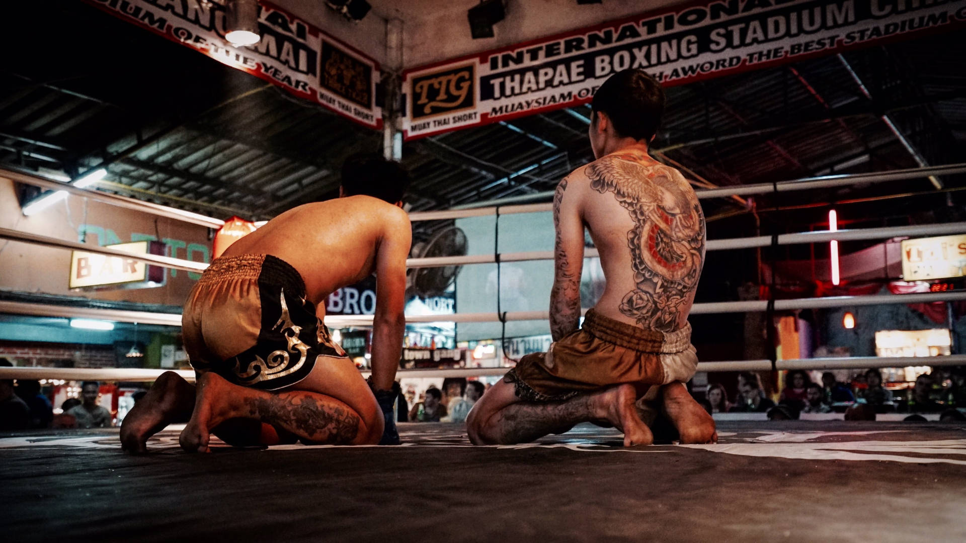 Two Muay Thai Artists Background