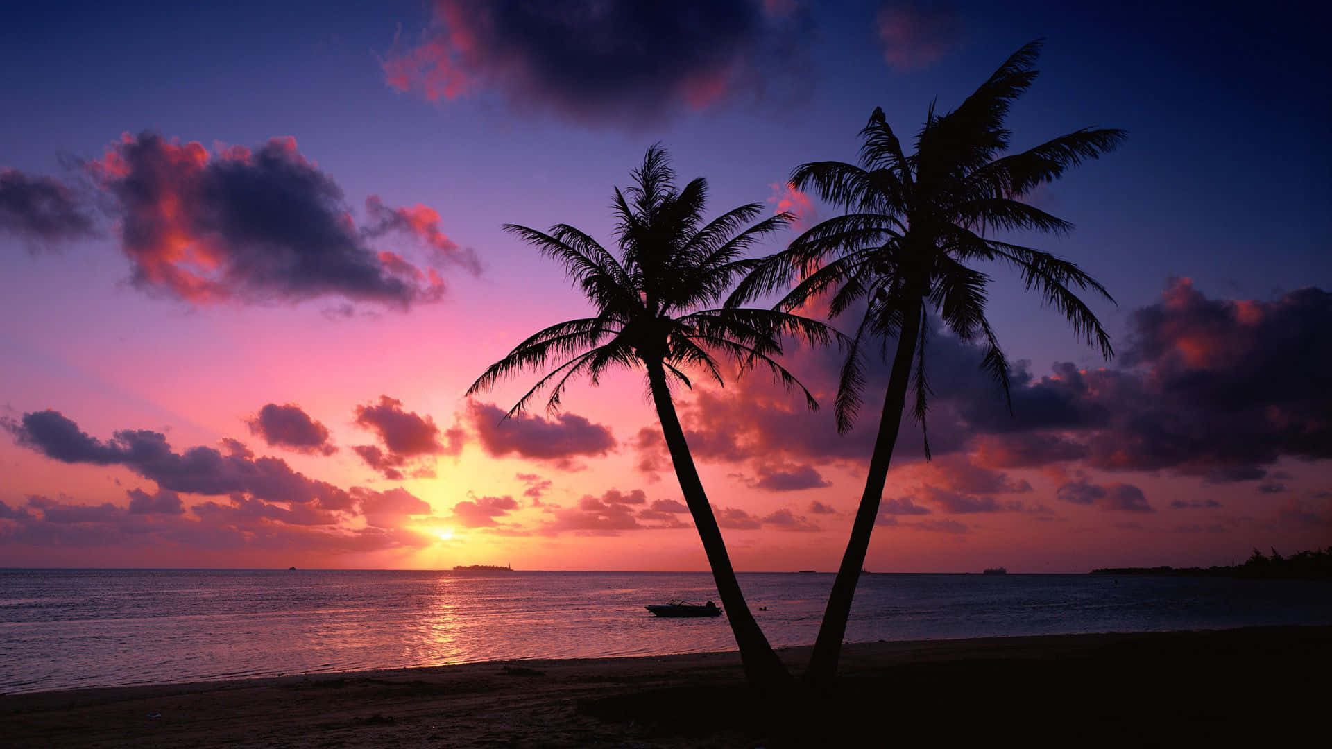 Two Palm Trees On A Beach With A Sunset