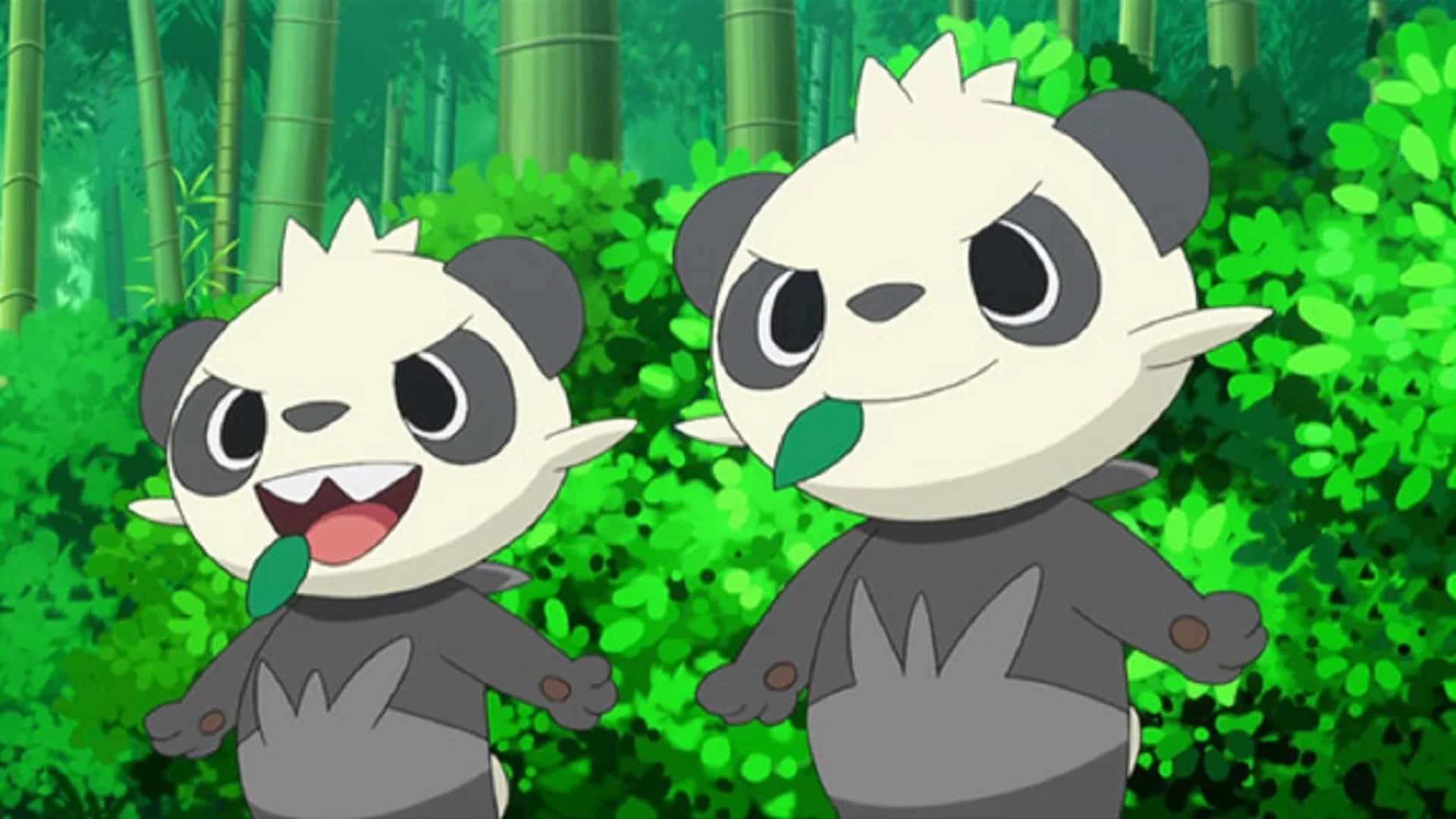 Two Pancham Background