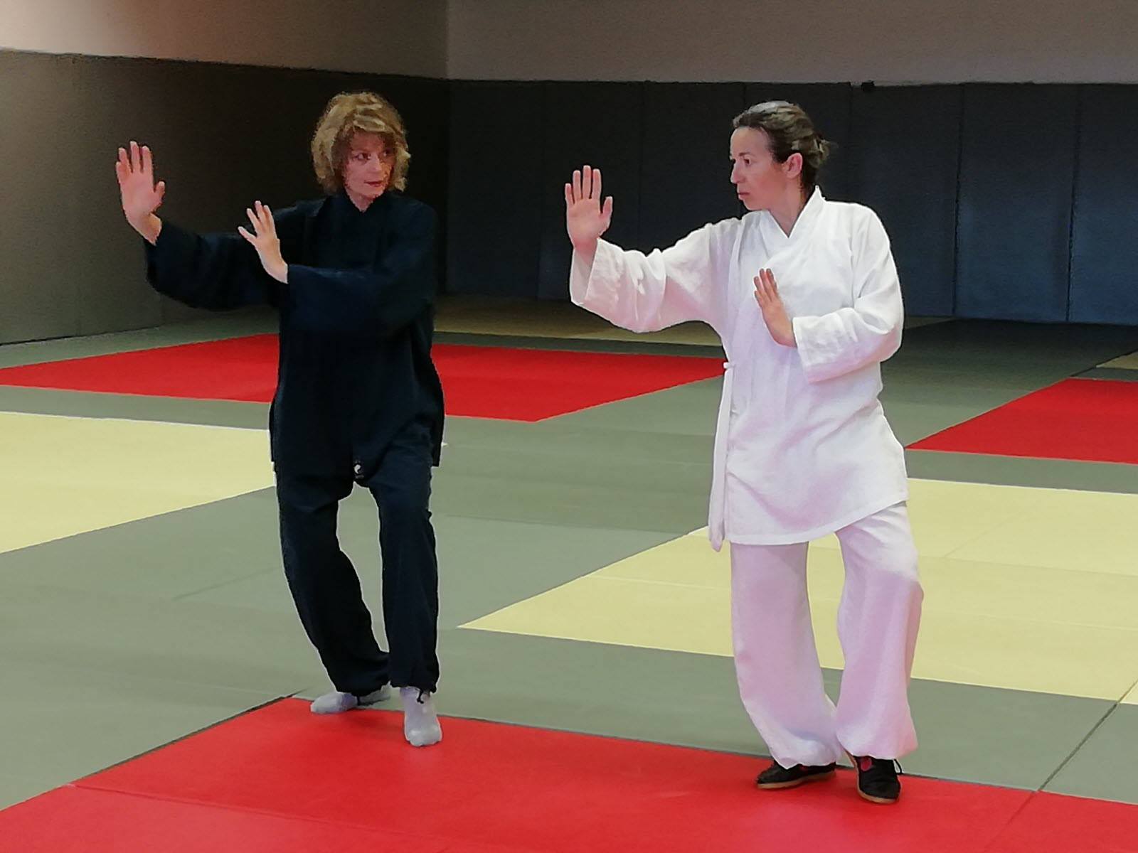 Two Practitioners In Harmonious Tai Chi Flow Background