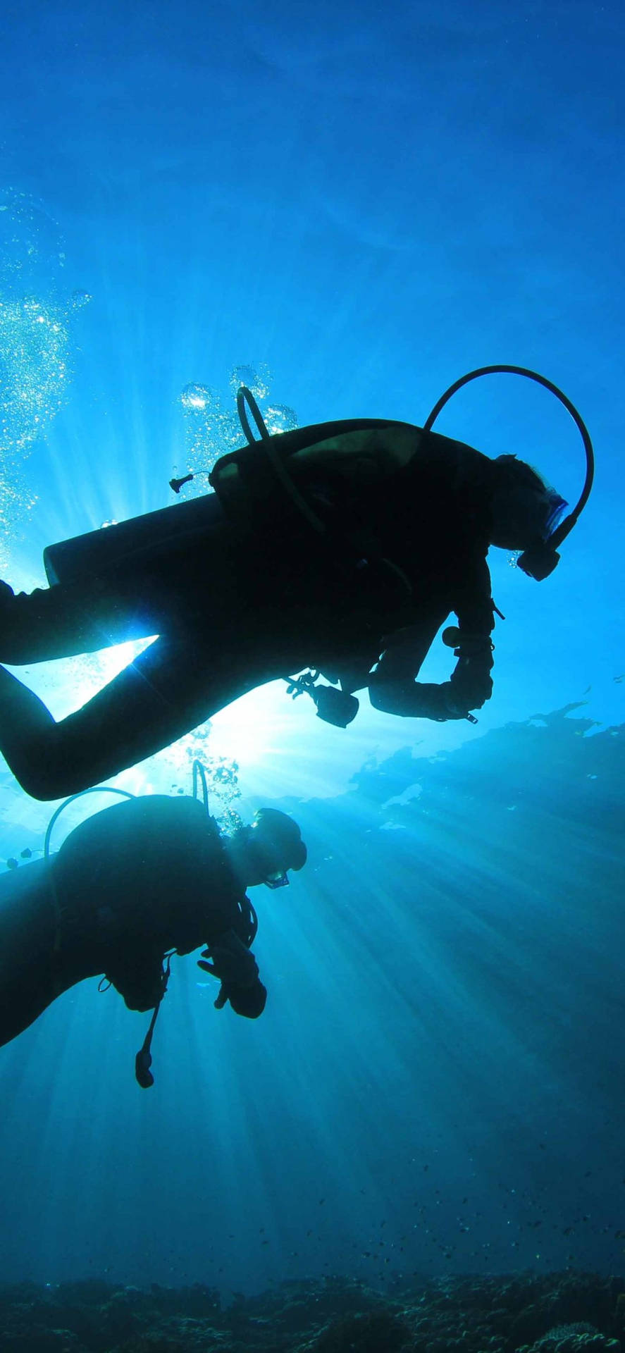 Two Scuba Divers Diving Silhouettes Background