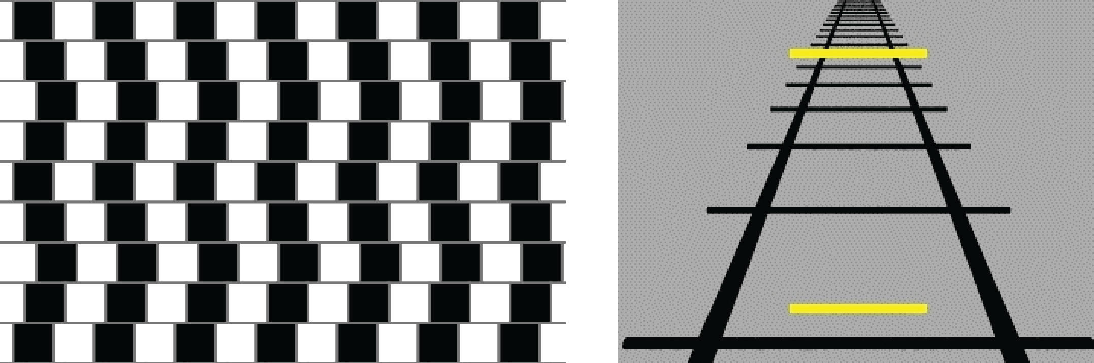 Two Sets Of Ambiguous Optical Illusions Background