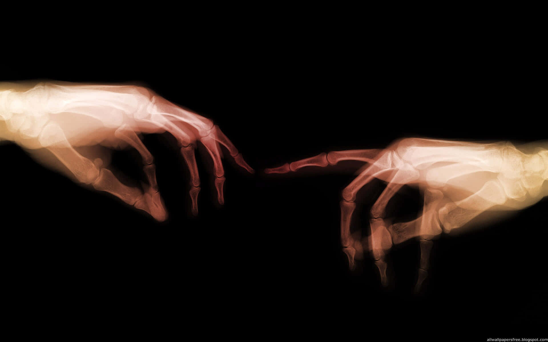 Two Skeleton Hands Reaching Out To Each Other