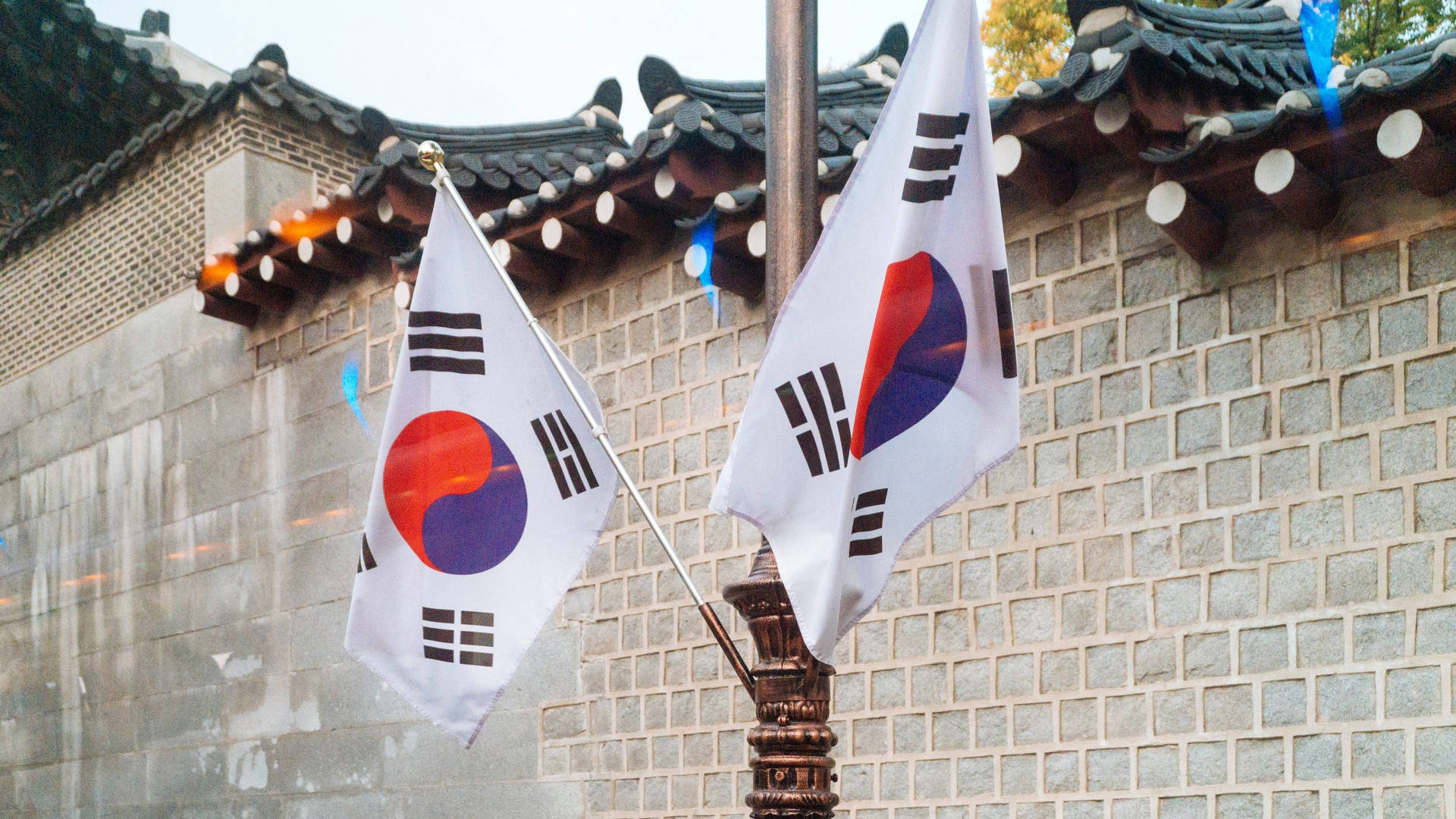 Two South Korean Flags