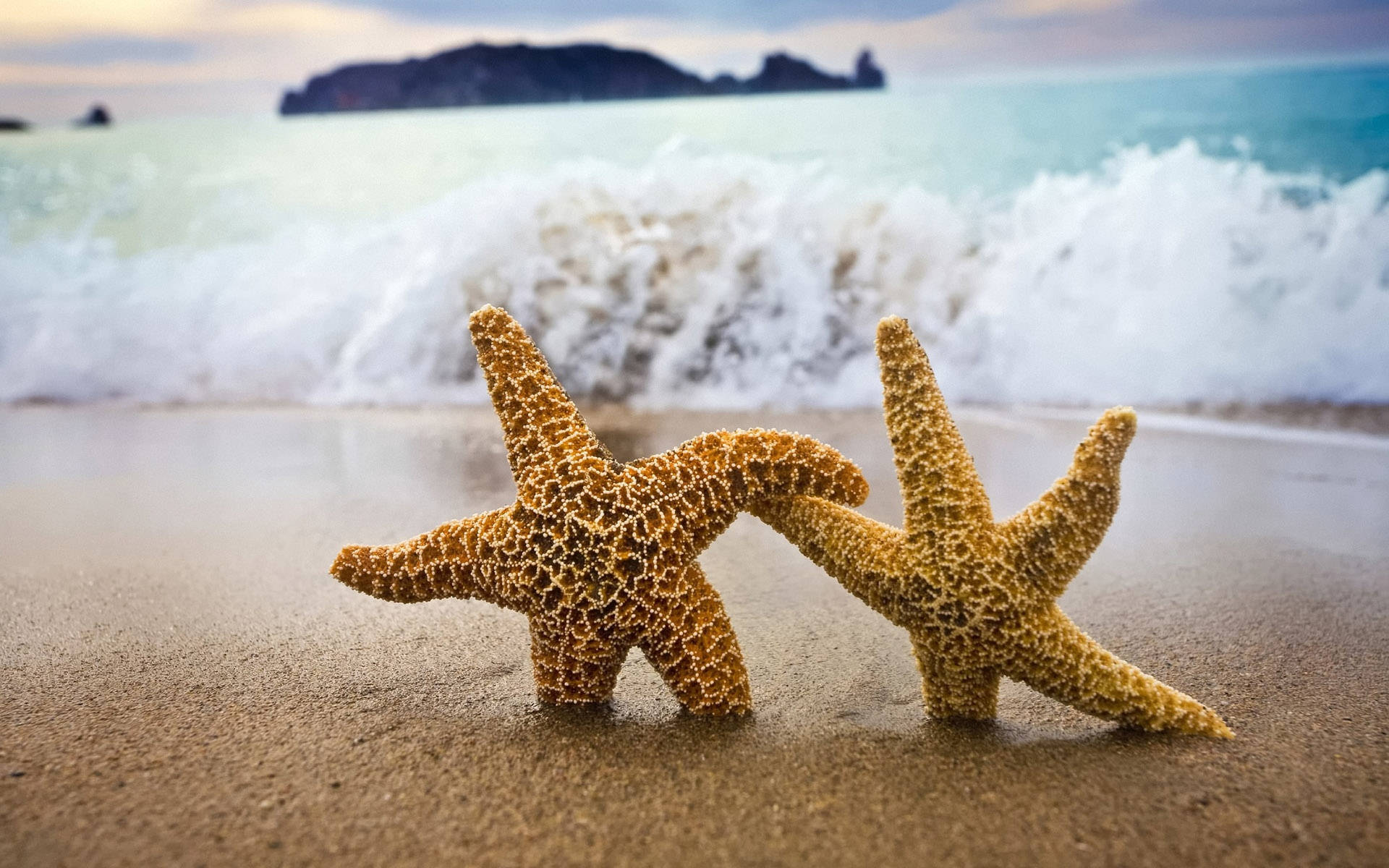 Two Starfish And Ocean Waves Background