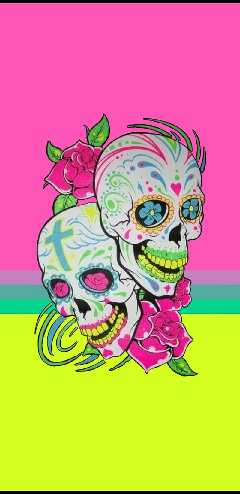 Two Sugar Skulls On A Pink And Green Background Background