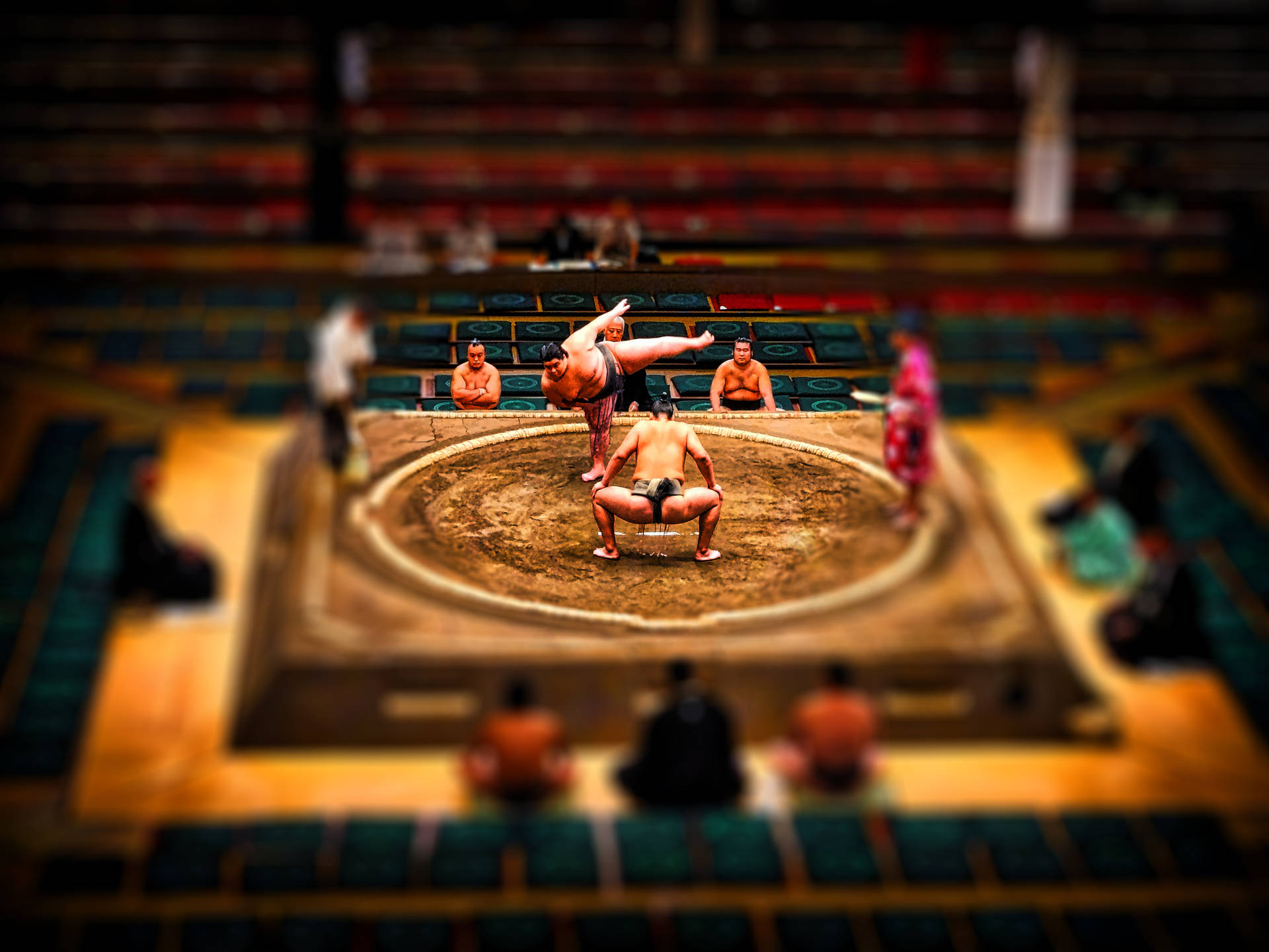 Two Sumo Wrestlers Battle It Out For Supremacy