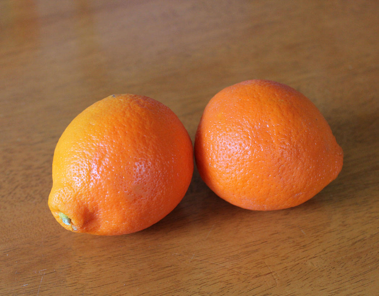 Two Tangelo Fruits On Wooden Table Background