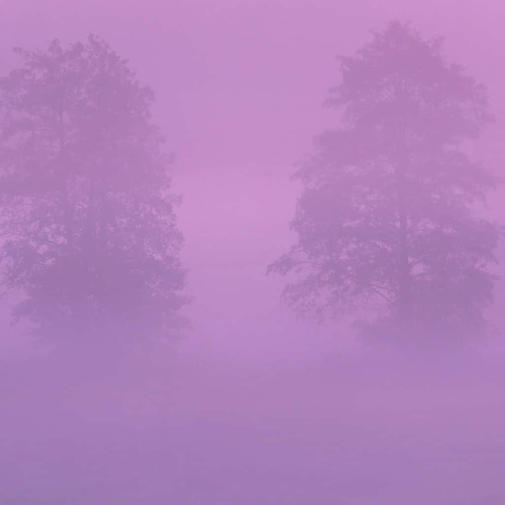 Two Trees In The Fog With Purple Sky Background