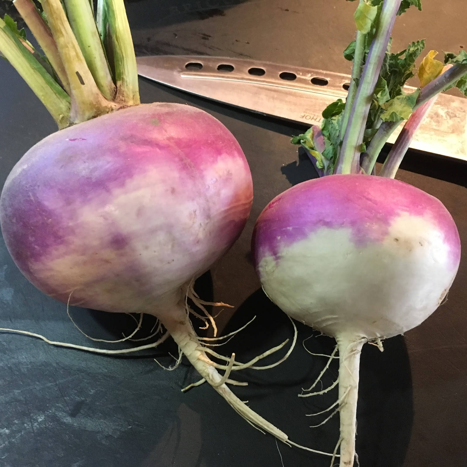 Two Turnips With Sharp Knife Background