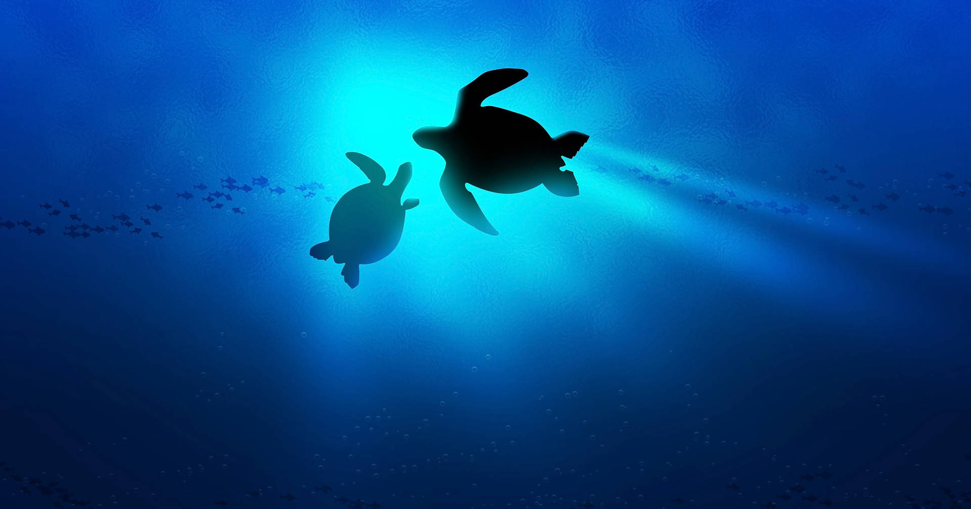Two Turtles Silhouettes Background