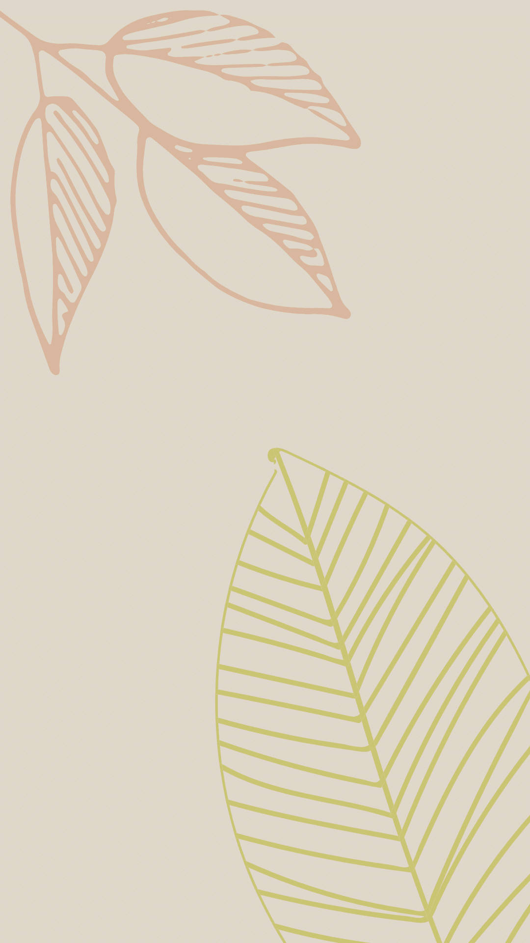 Two Types Of Leaves In Neutral Background Background