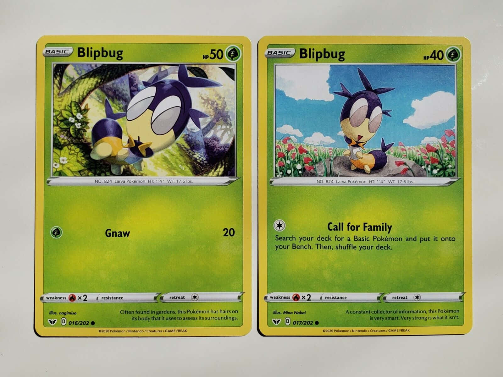 Two Types Of Pokémon Blipbug Card Background