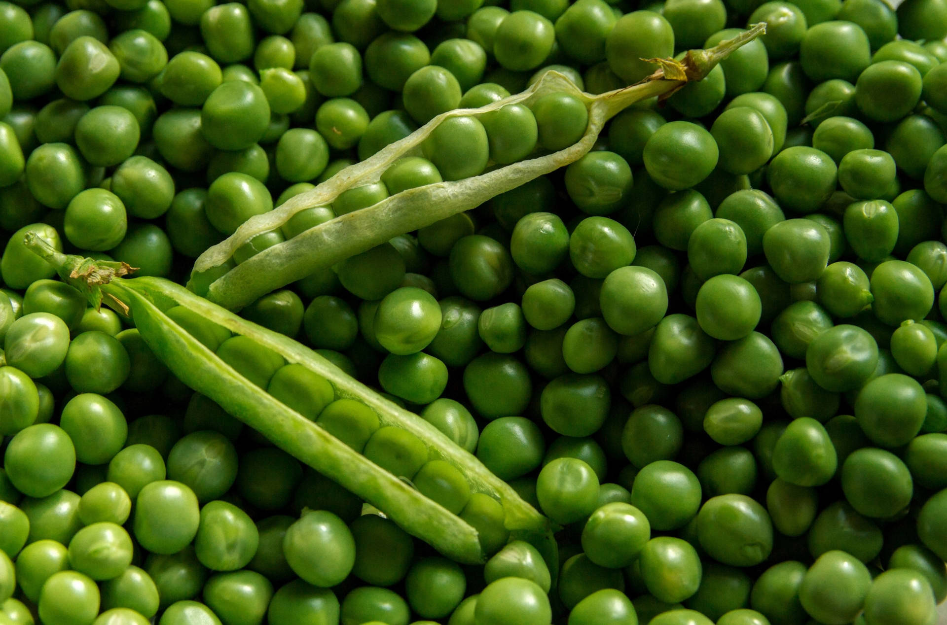 Two Vegetable Green Peas Pods Background