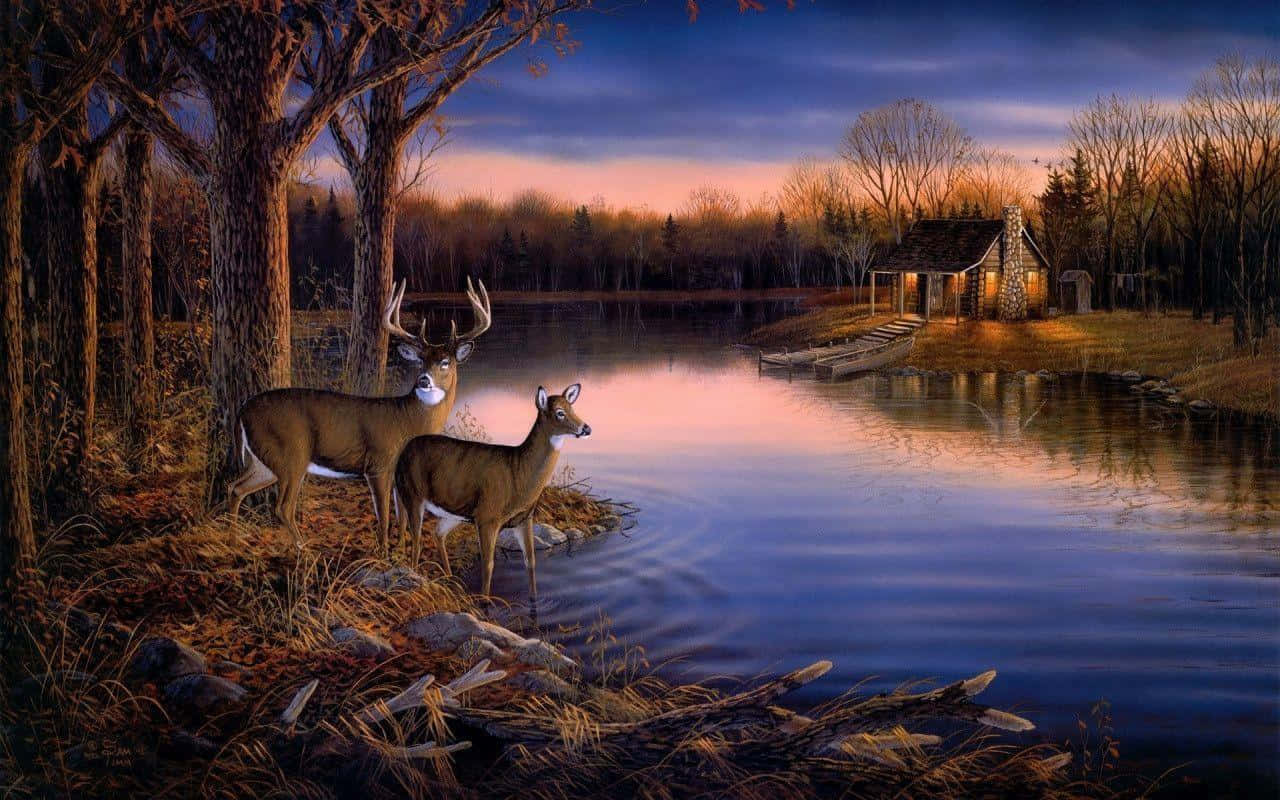 Two Whitetail Deer By The Still Lake Background