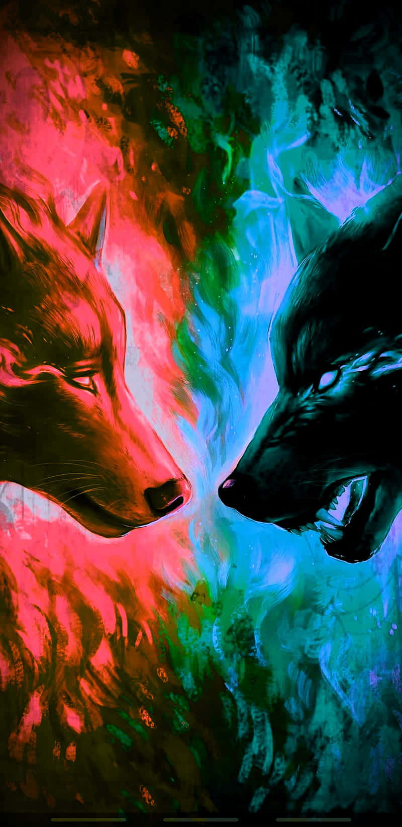 Two Wolves Facing Each Other In A Colorful Background Background