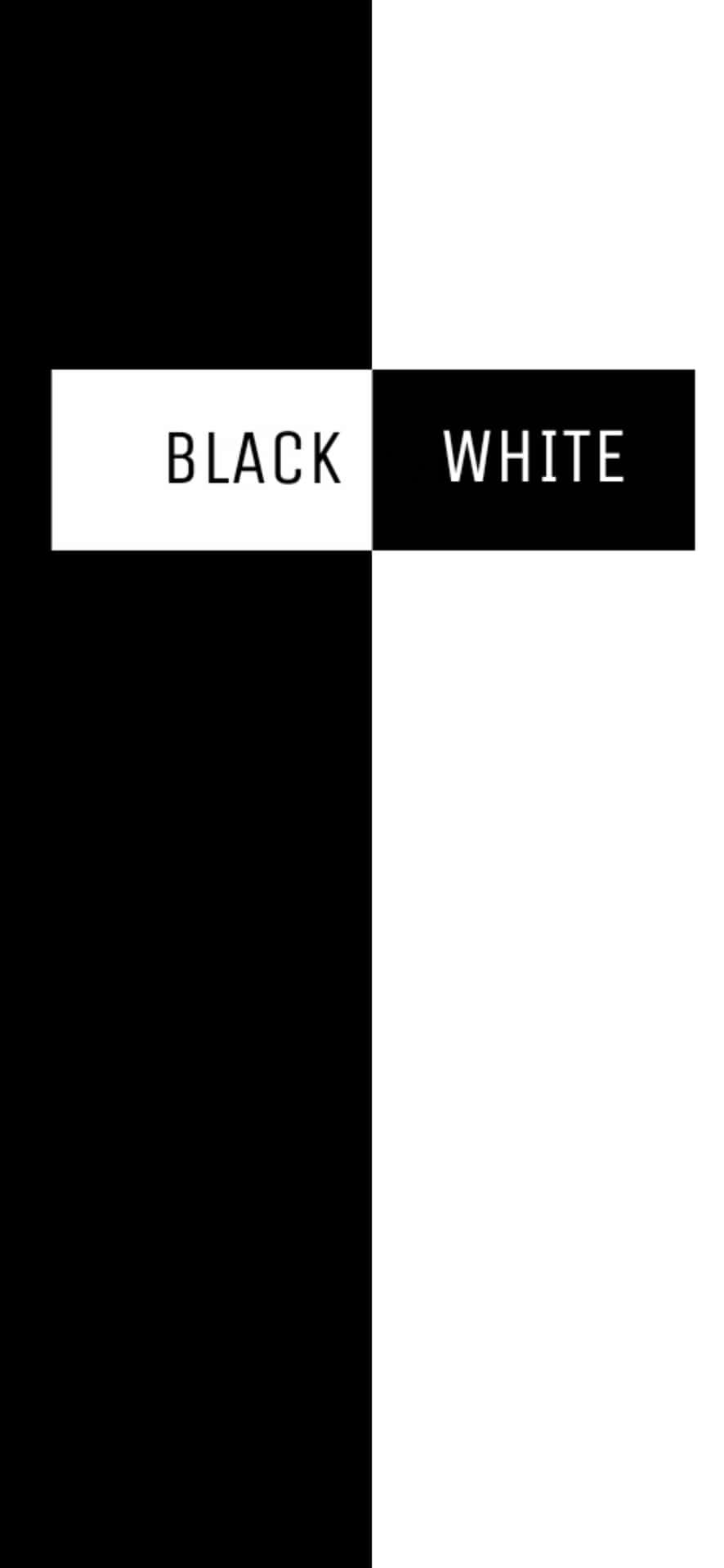 Two Worlds Collide - Half Black, Half White Background