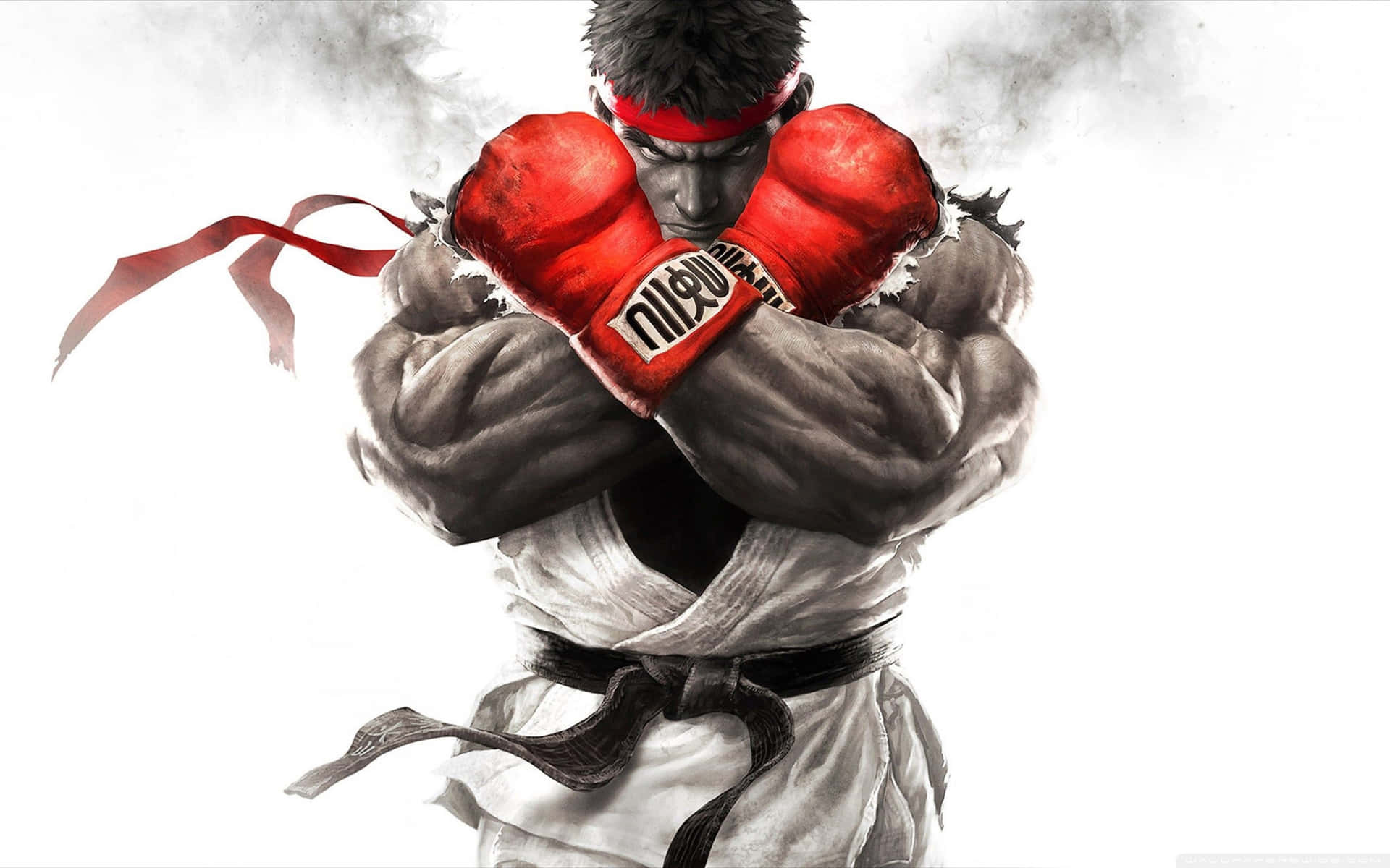Two Worldwide Street Fighters Competing For A Victory Background