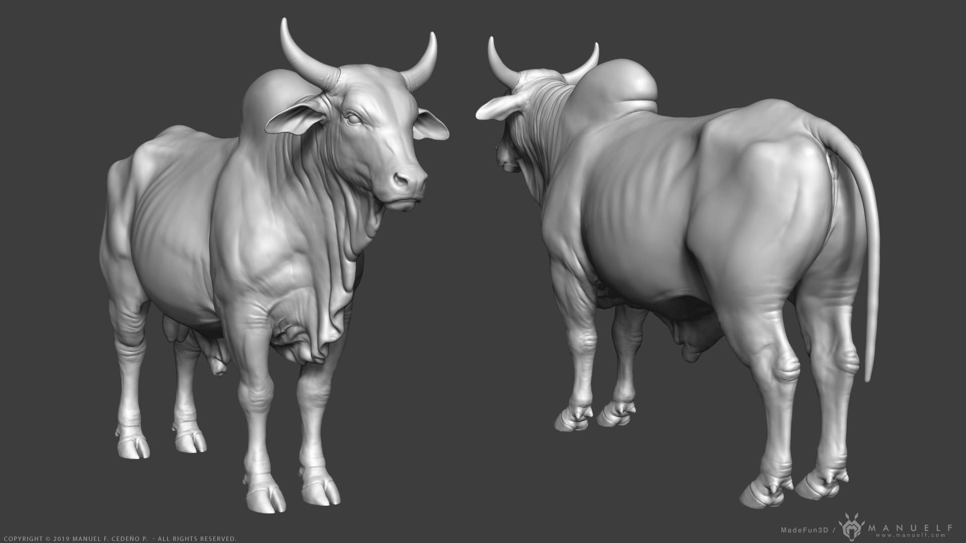 Two Zebu Cattle 3d Art