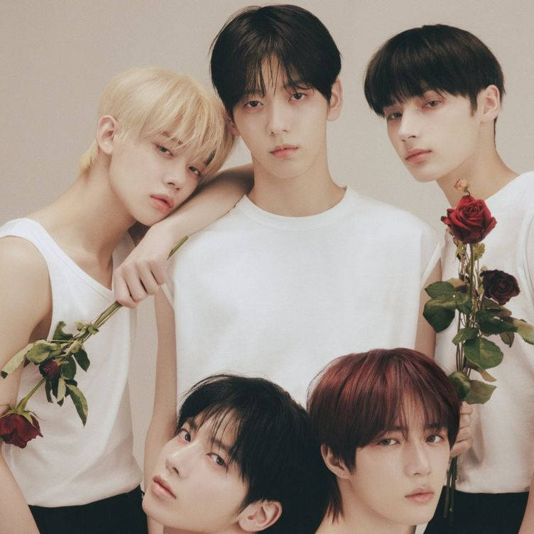 Txt Holding A Rose