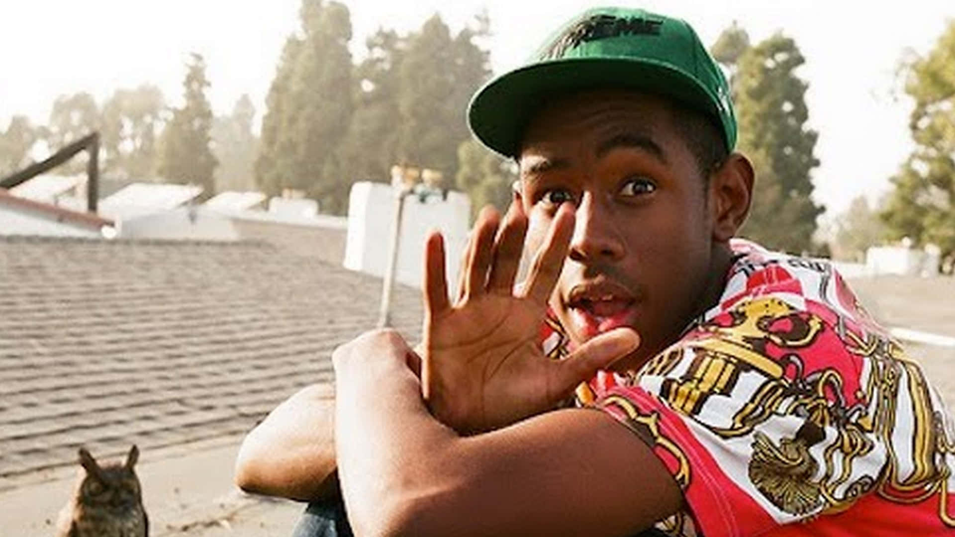 Tyler The Creator Establishes His Creative Desktop Background