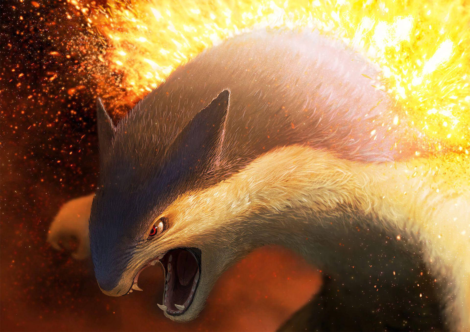 Typhlosion Close Up Hd Background
