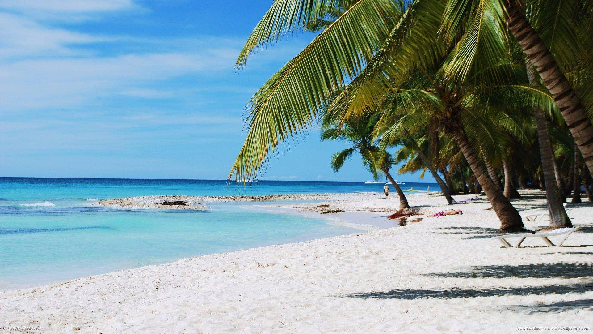 Typical Dominican Republic Beach