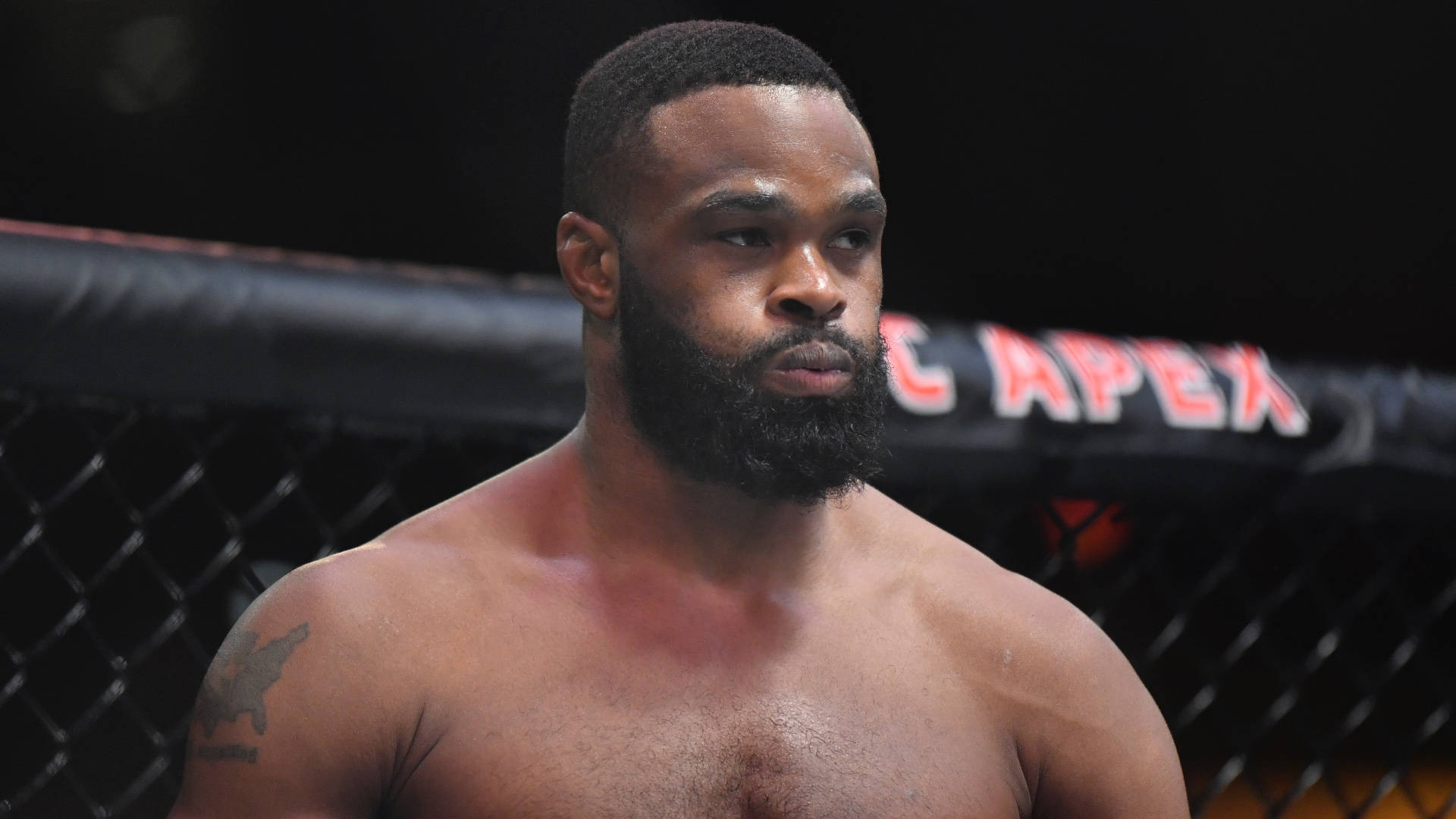 Tyron Woodley Dominating In The Ufc Octagon
