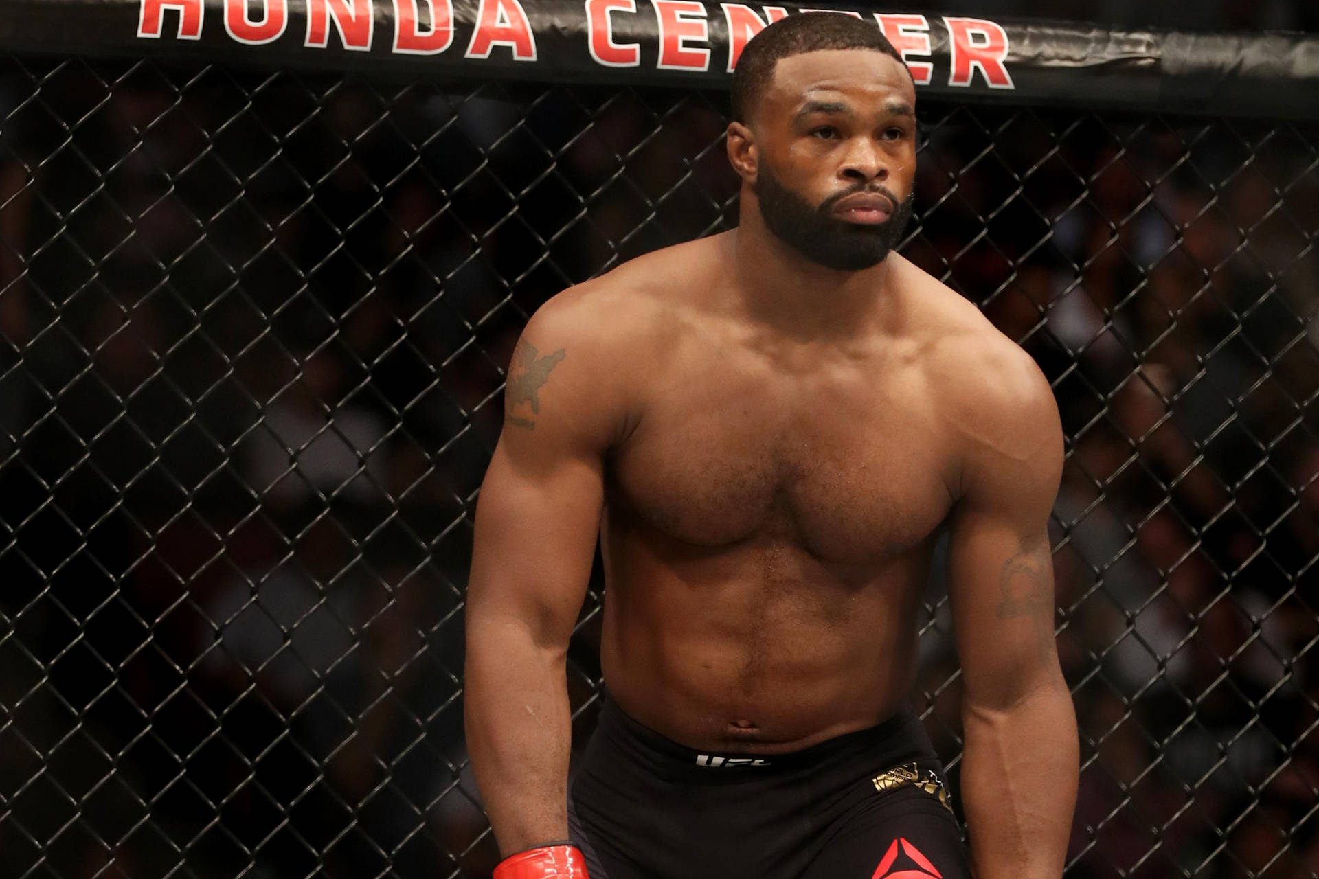 Tyron Woodley Ready To Fight Background