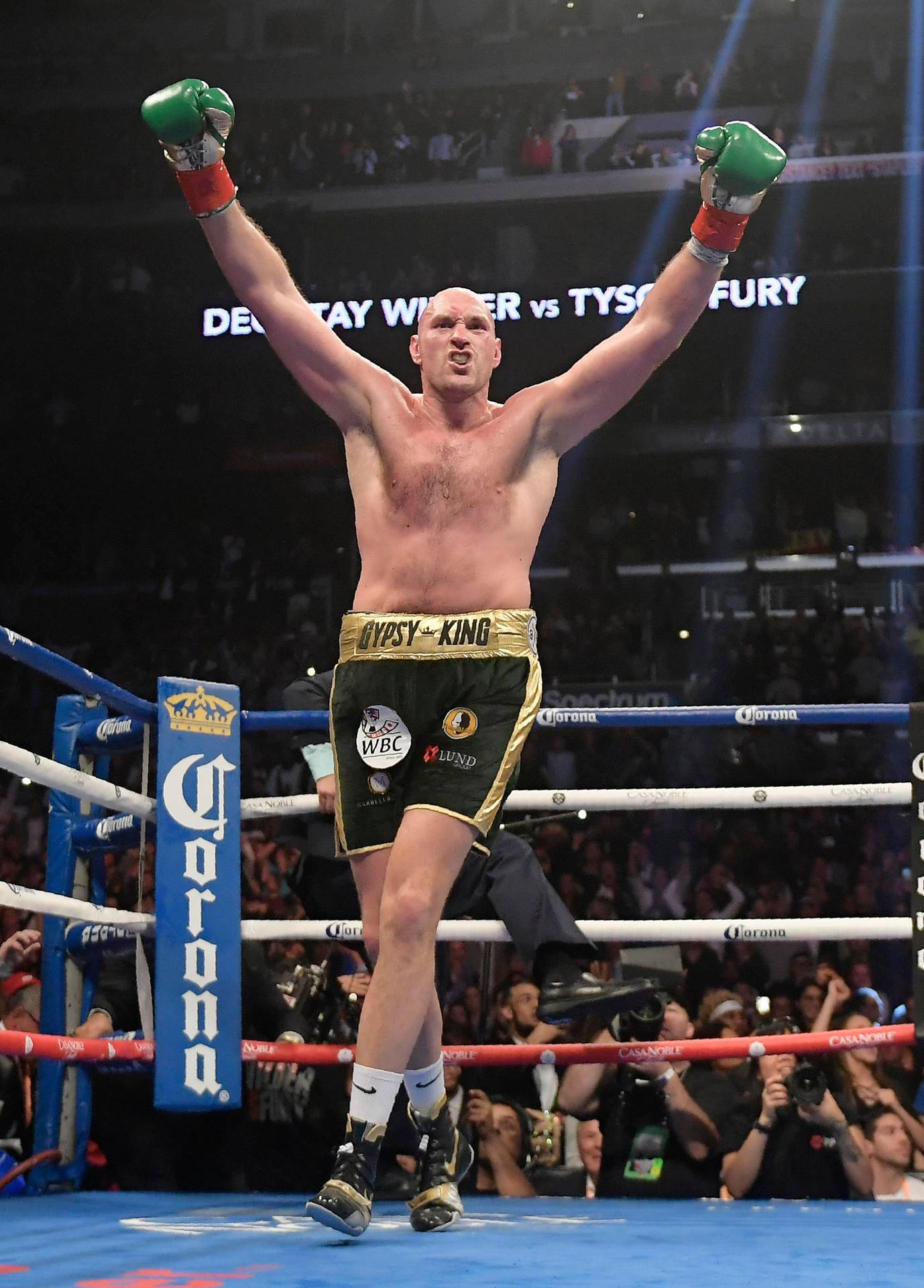 Tyson Fury Exhibits Gloves To Crowd