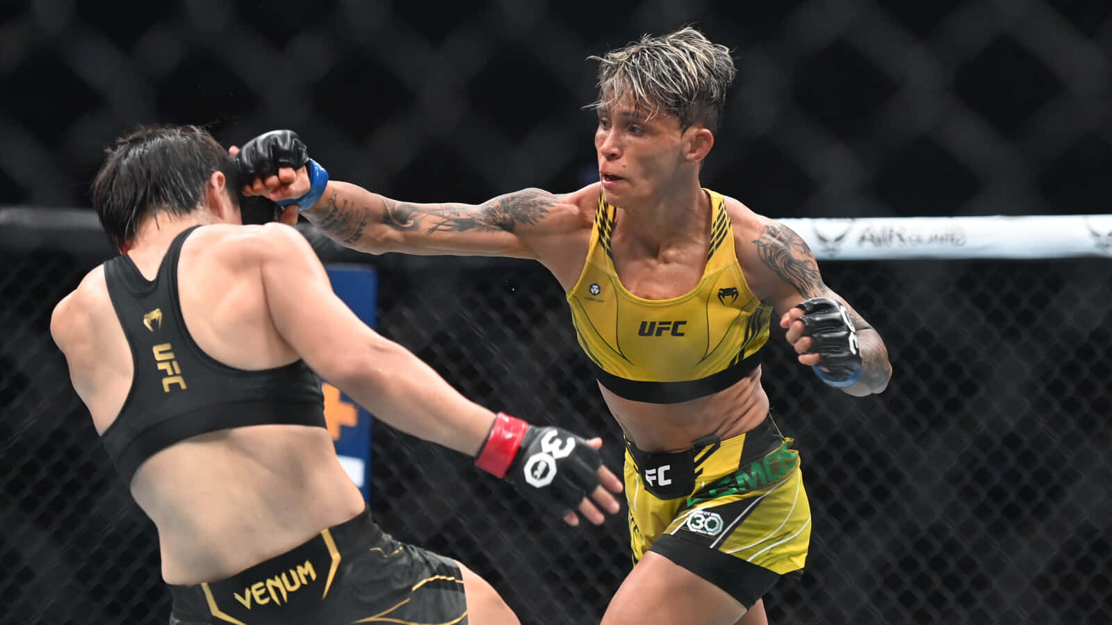 U F C Fighter Amanda Lemosin Action