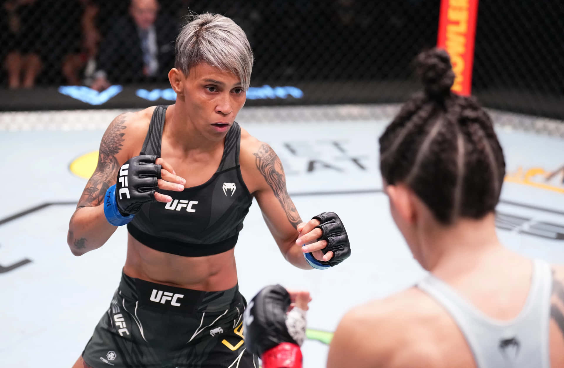 U F C Fighter Stancein Octagon