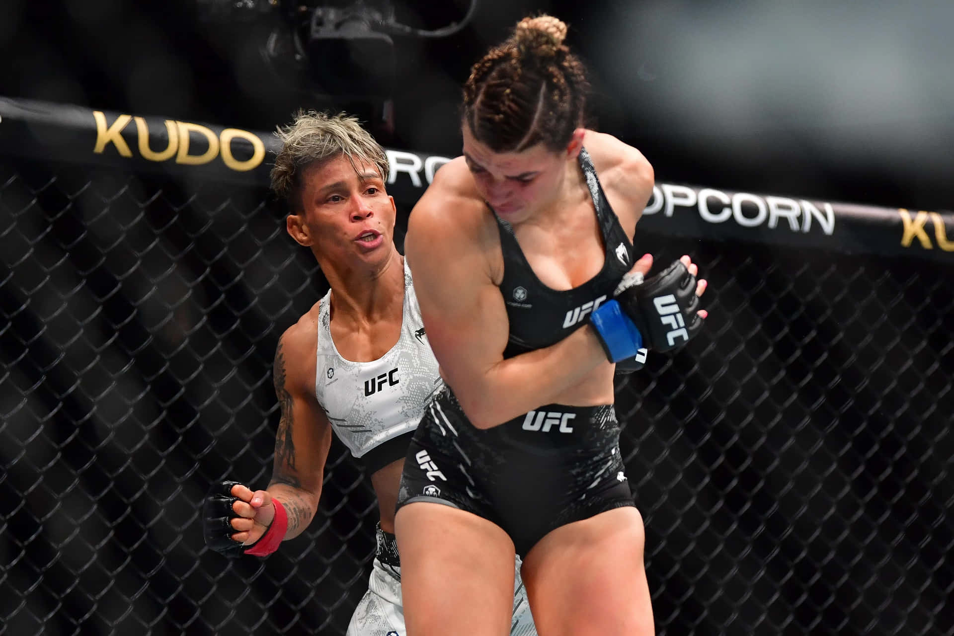 U F C Fightersin Action Background