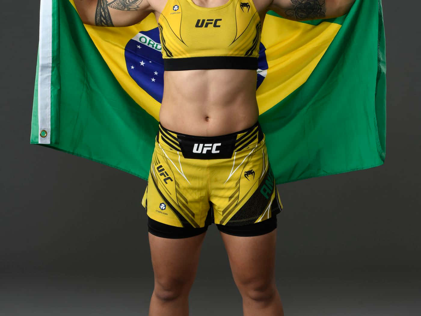 U F C Fighterwith Brazilian Flag