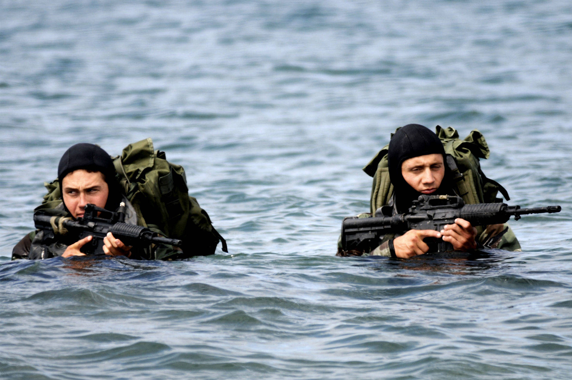 U S Navy Seals Partially Submerged