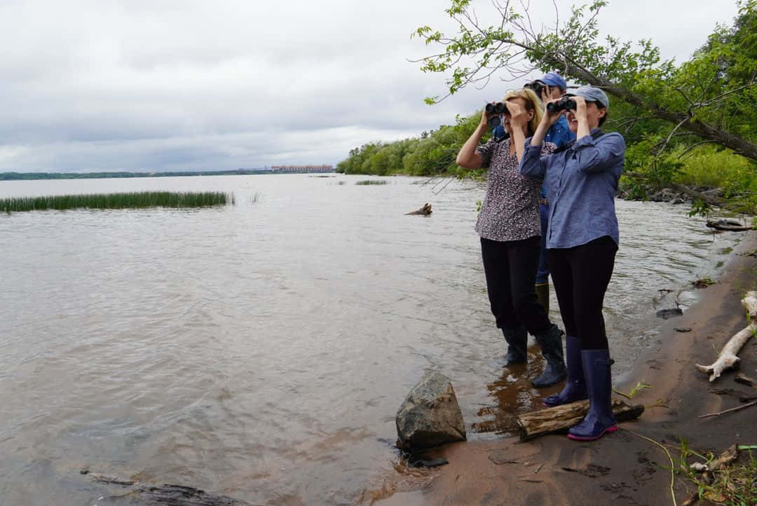 U.s. Senator Tammy Baldwin Enjoying Bird Watching Background