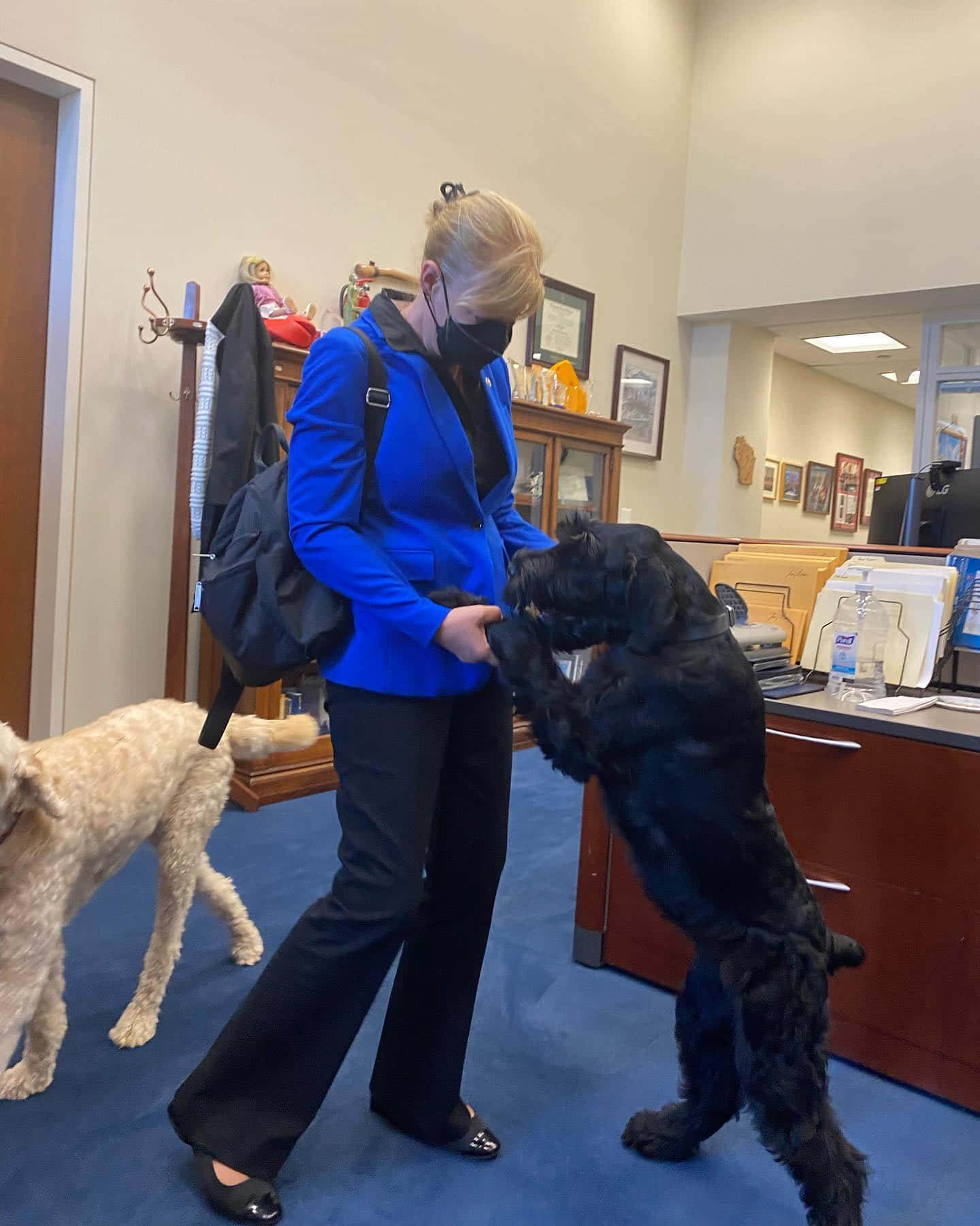 U.s Senator Tammy Baldwin Walking Her Dogs Background