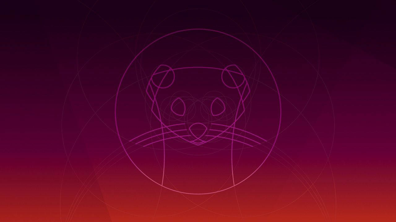 Ubuntu Focal Fossa Cat Background