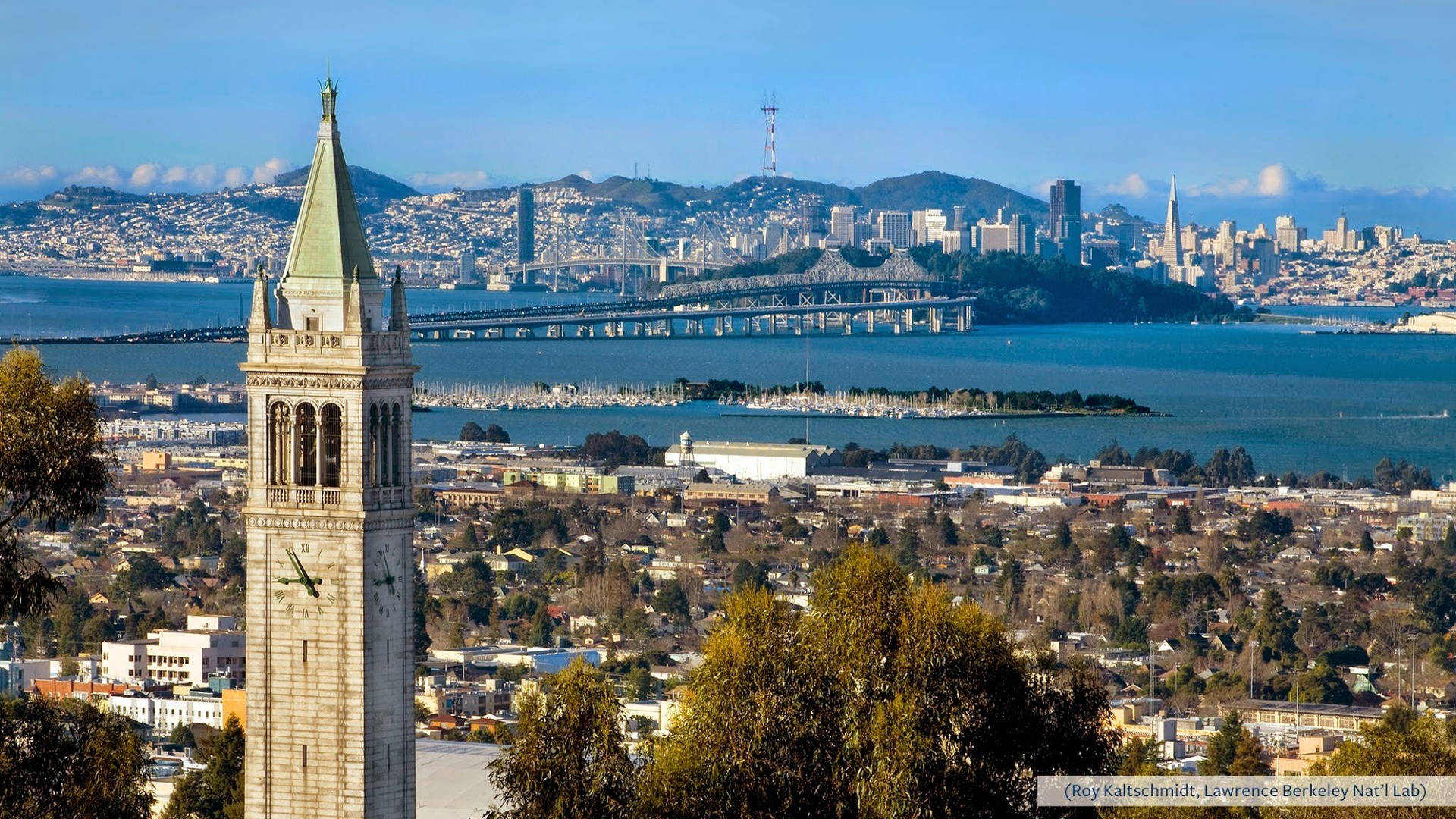 Ucb And San Francisco Bay Background