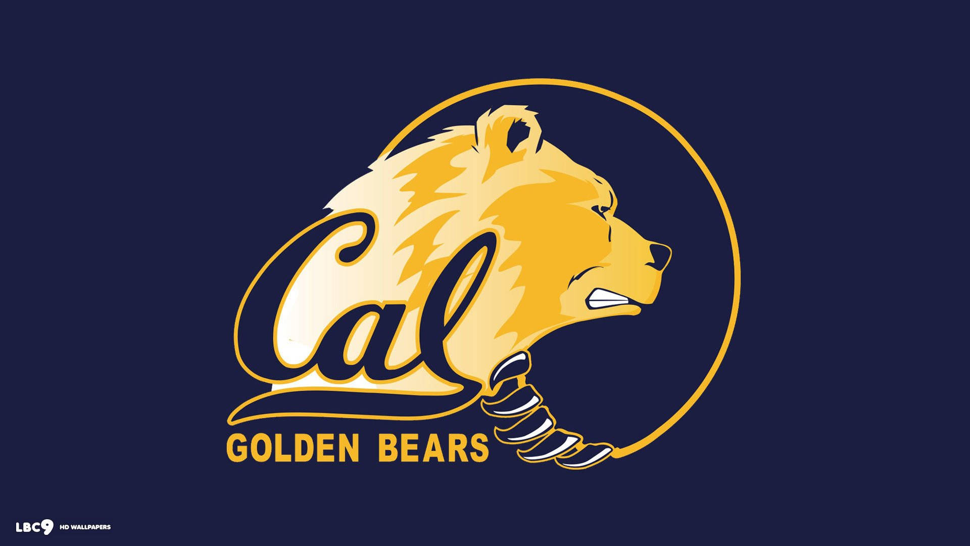 Ucb Golden Bears Flag Background